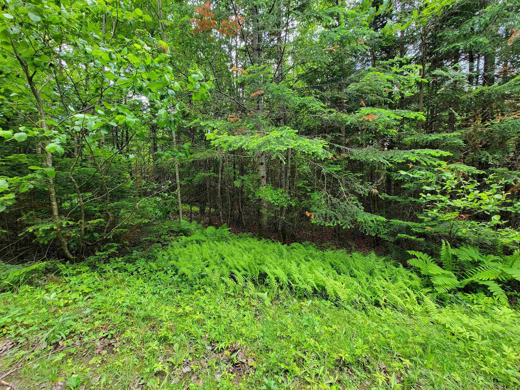 10.14 Acres of Land for Sale in Colebrook, New Hampshire