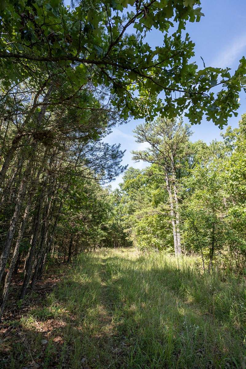 105 Acres of Land for Sale in Berryville, Arkansas