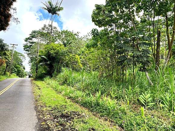 1.012 Acres of Residential Land for Sale in Pahoa, Hawaii