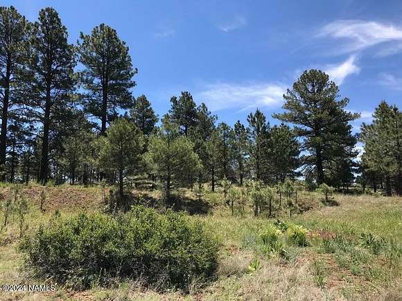 5 Acres of Land for Sale in Parks, Arizona