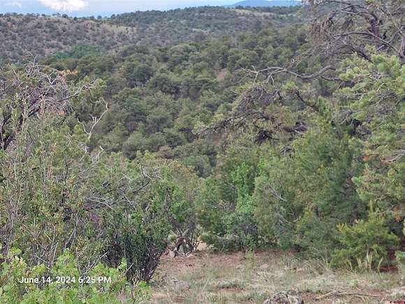 35.01 Acres of Recreational Land for Sale in South Fork, Colorado
