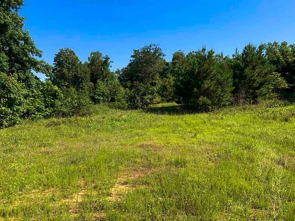 296 Acres of Recreational Land & Farm for Sale in Tyler, Texas