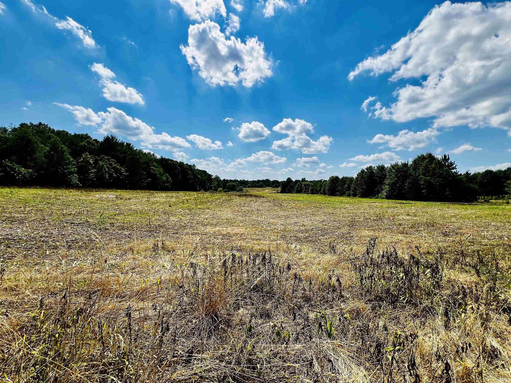 118 Acres of Agricultural Land for Sale in Springville, Indiana