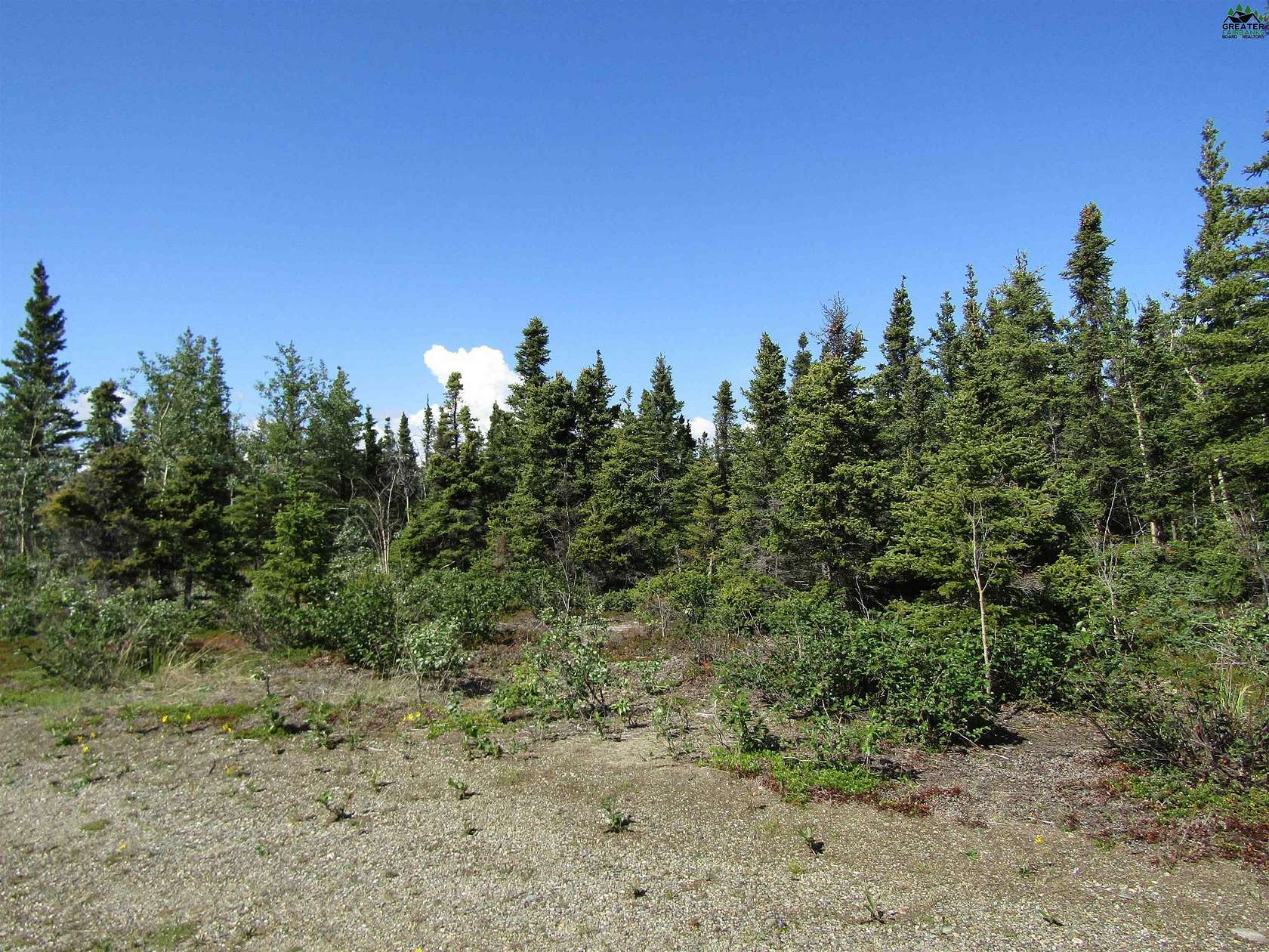 4.5 Acres of Residential Land for Sale in Delta Junction, Alaska