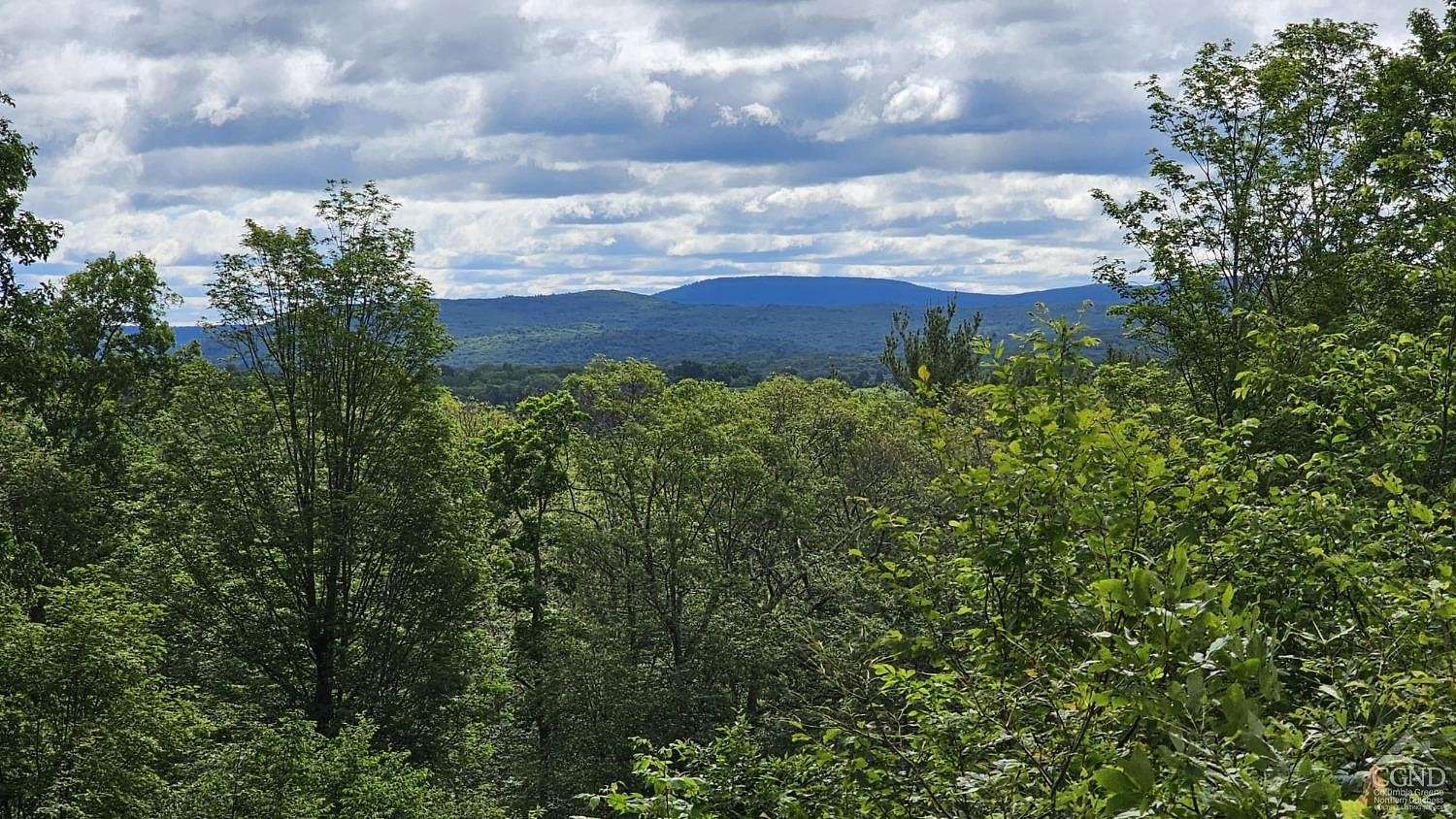 25 Acres of Recreational Land for Sale in Taghkanic, New York