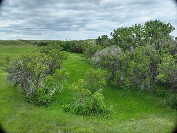 10 Acres of Agricultural Land for Sale in Fairview, Montana