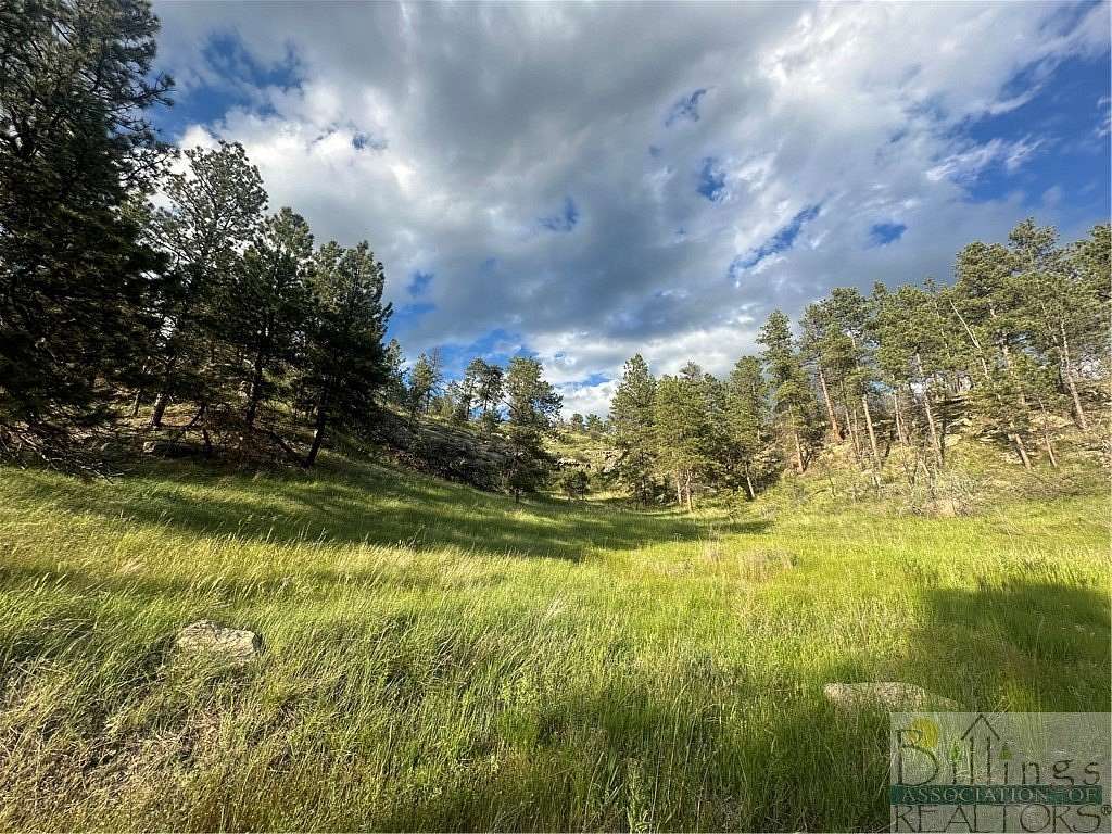 20 Acres of Agricultural Land for Sale in Roundup, Montana