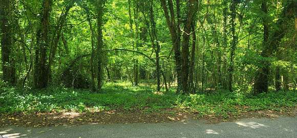 0.3 Acres of Residential Land for Sale in Laurens, South Carolina
