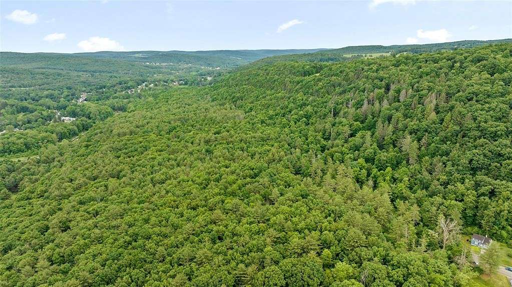 100.56 Acres of Land for Sale in Vestal, New York