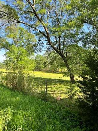 56.445 Acres of Agricultural Land for Sale in Frankston, Texas