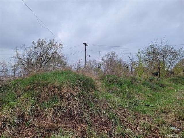 0.09 Acres of Residential Land for Sale in Detroit, Michigan