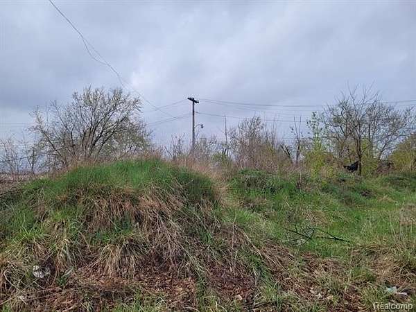 0.09 Acres of Residential Land for Sale in Detroit, Michigan
