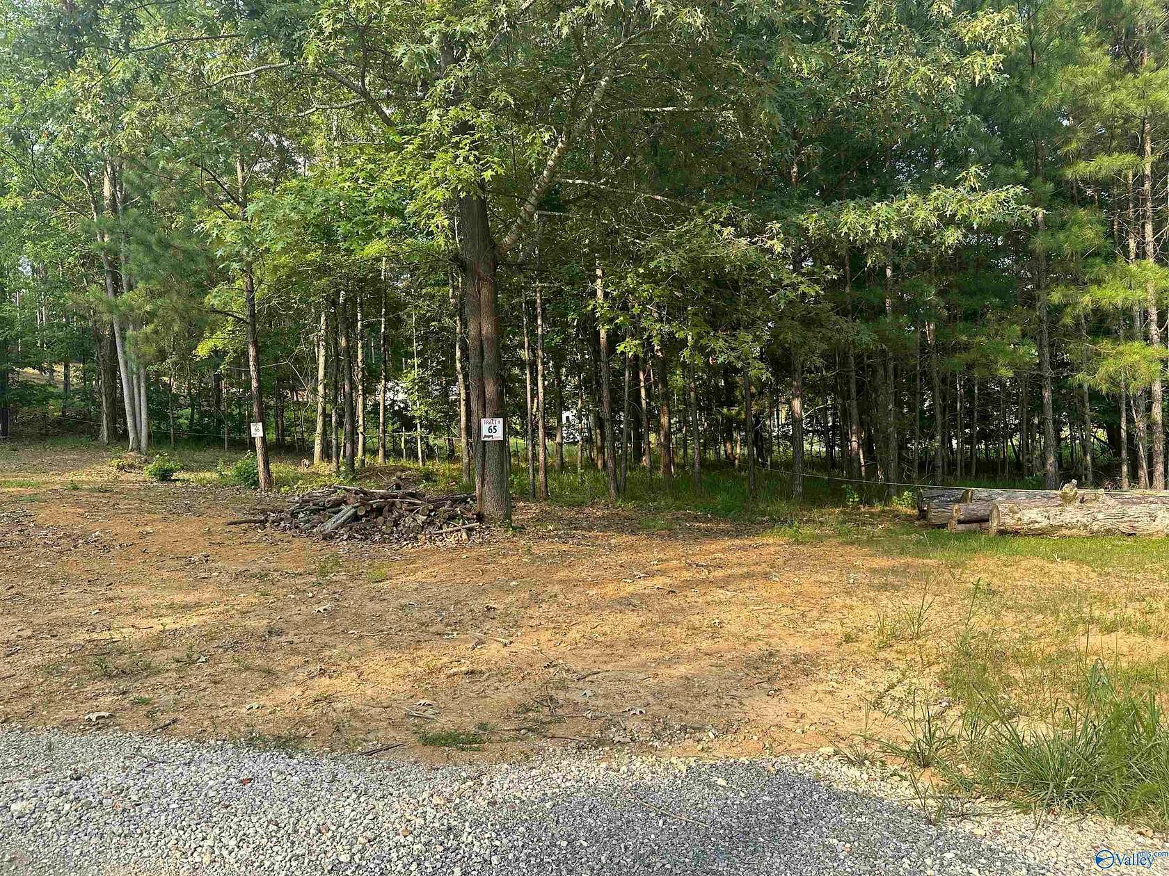 Land for Sale in Cedar Bluff, Alabama