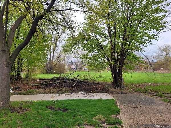 0.07 Acres of Residential Land for Sale in Detroit, Michigan