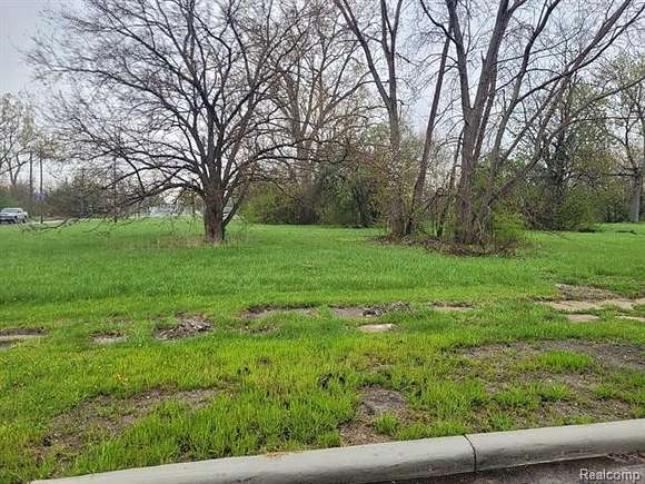 0.11 Acres of Residential Land for Sale in Detroit, Michigan