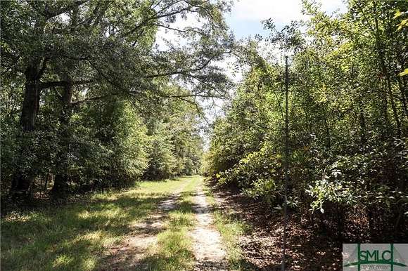 143.52 Acres of Recreational Land for Sale in Sylvania, Georgia