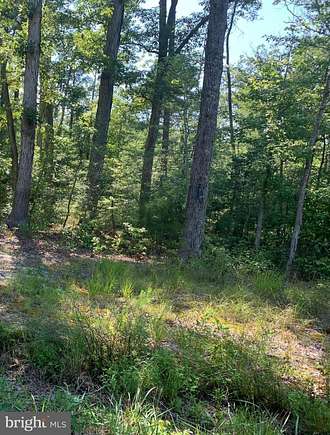 3.66 Acres of Land for Sale in Newburg, Maryland