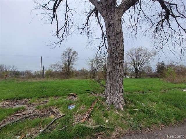 0.1 Acres of Residential Land for Sale in Detroit, Michigan
