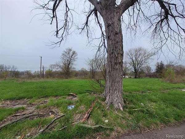 0.1 Acres of Residential Land for Sale in Detroit, Michigan