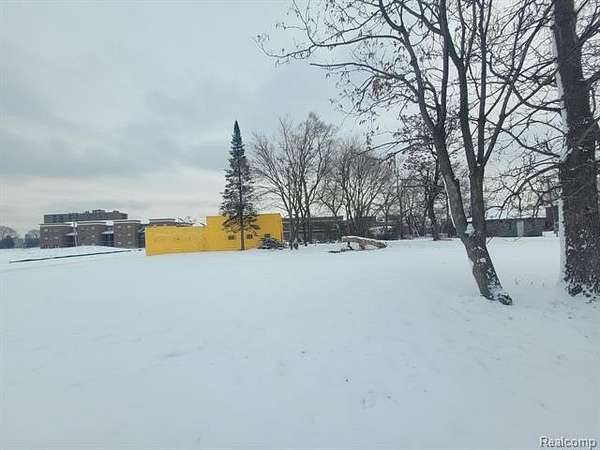 0.06 Acres of Residential Land for Sale in Detroit, Michigan