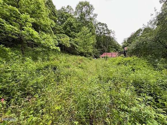 29.3 Acres of Recreational Land for Sale in Mountain City, Tennessee