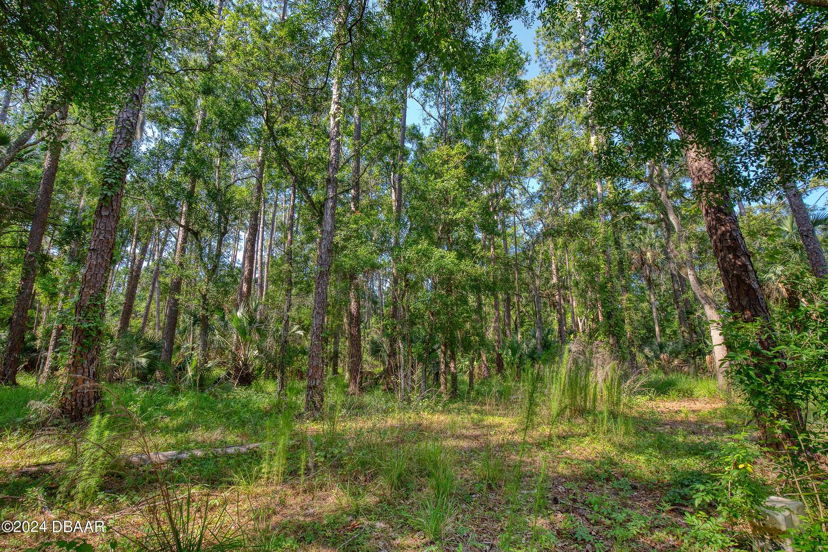 4.42 Acres of Residential Land for Sale in Port Orange, Florida