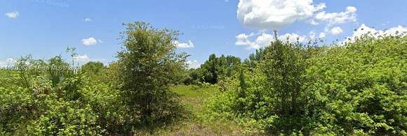 Residential Land for Sale in Lehigh Acres, Florida