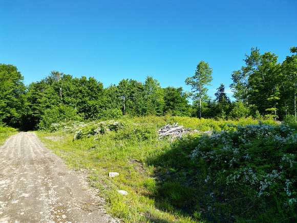 53.39 Acres of Recreational Land for Sale in Springfield, Maine