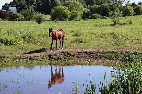 20 Acres of Land for Sale in Augusta, Wisconsin