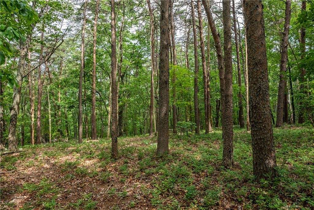 16.85 Acres of Land for Sale in Jasper, Georgia