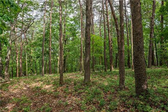 16.85 Acres of Land for Sale in Jasper, Georgia