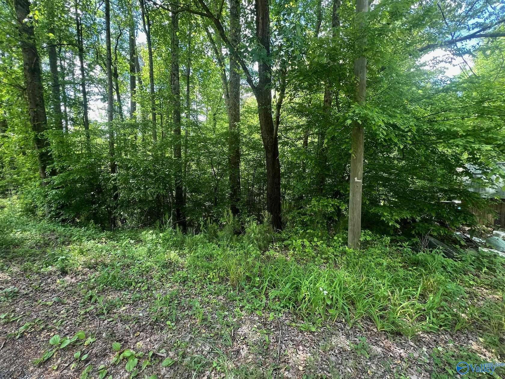 0.47 Acres of Land for Sale in Oneonta, Alabama
