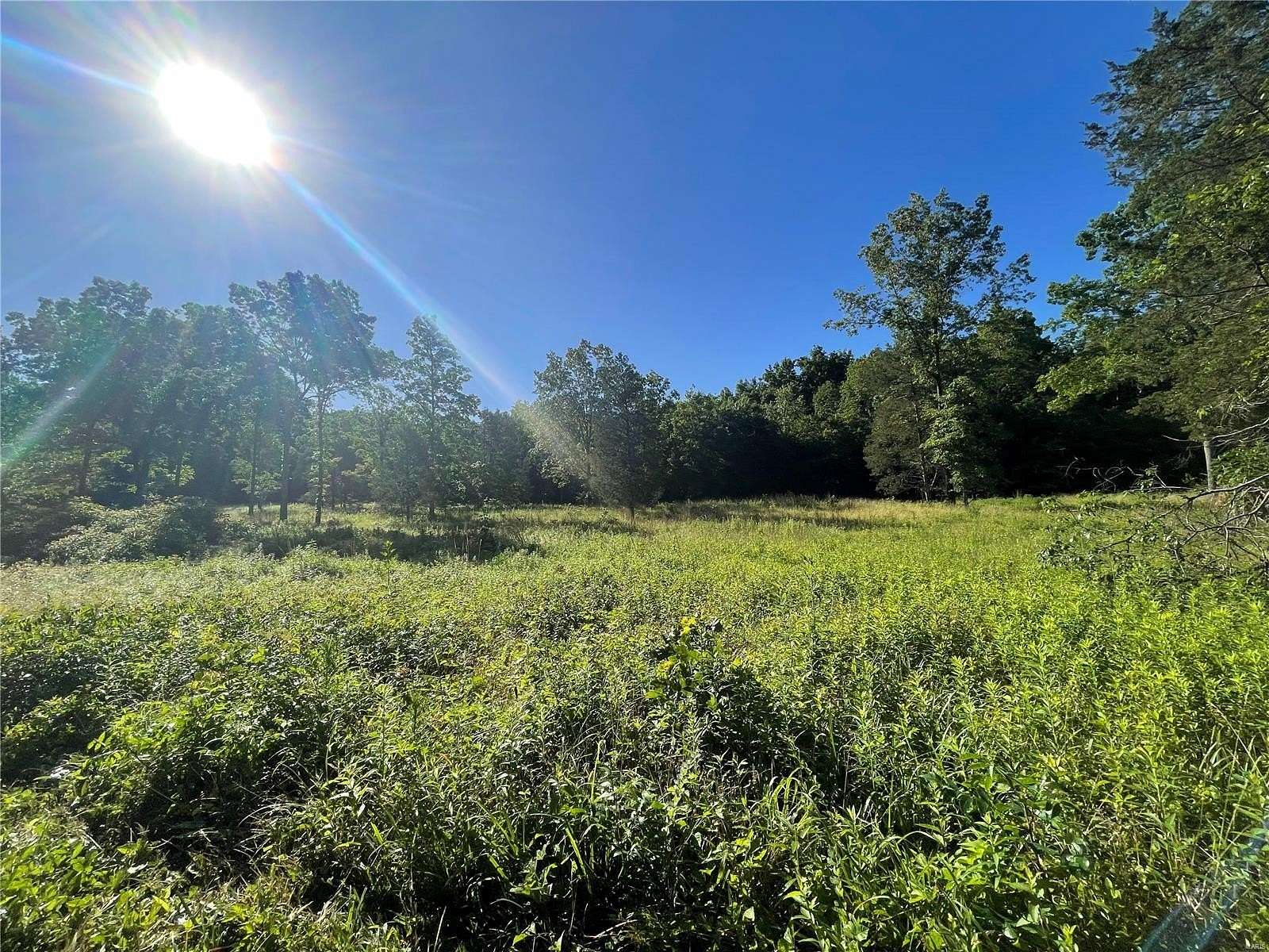 80 Acres of Agricultural Land for Sale in Glen Allen, Missouri