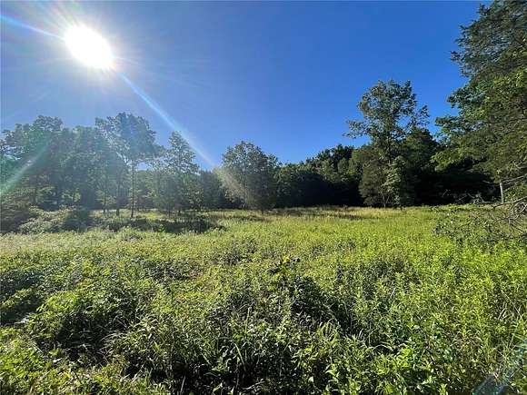 80 Acres of Agricultural Land for Sale in Glen Allen, Missouri