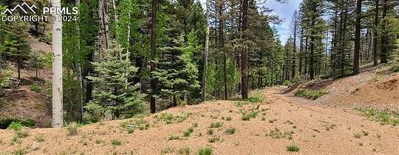 0.7 Acres of Residential Land for Sale in Manitou Springs, Colorado