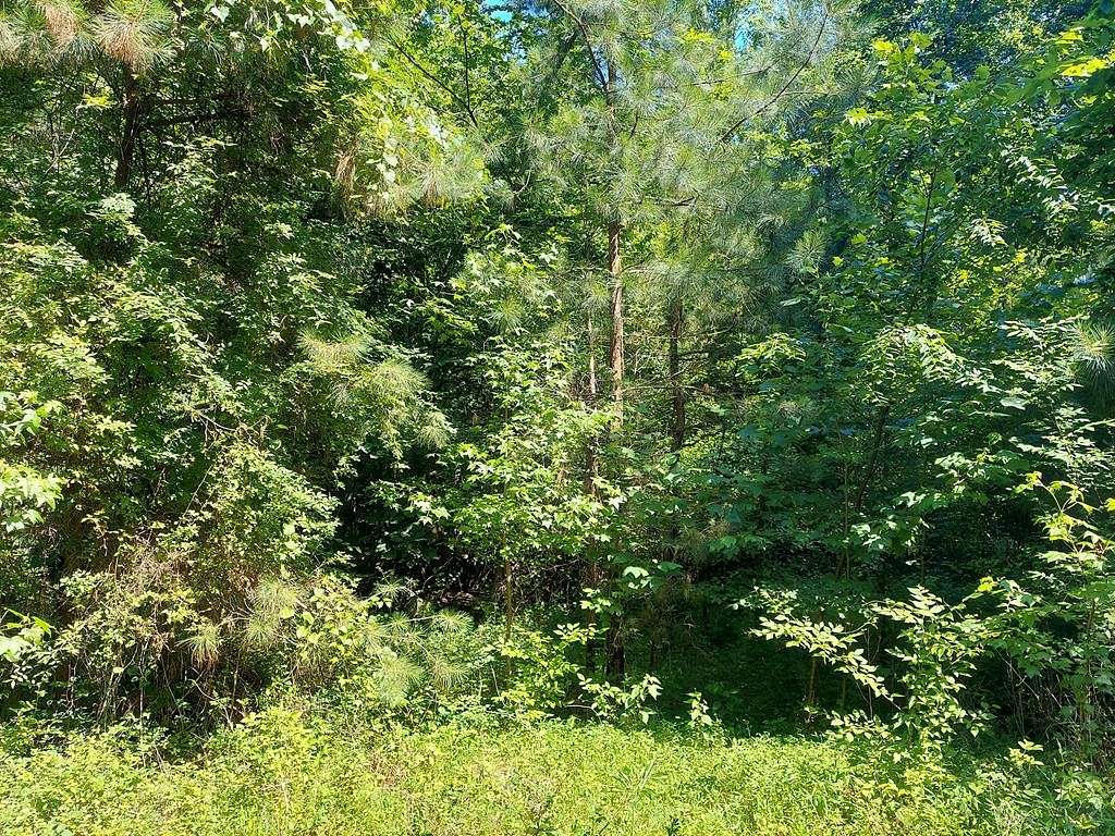 1.6 Acres of Residential Land for Sale in Buchanan, Tennessee