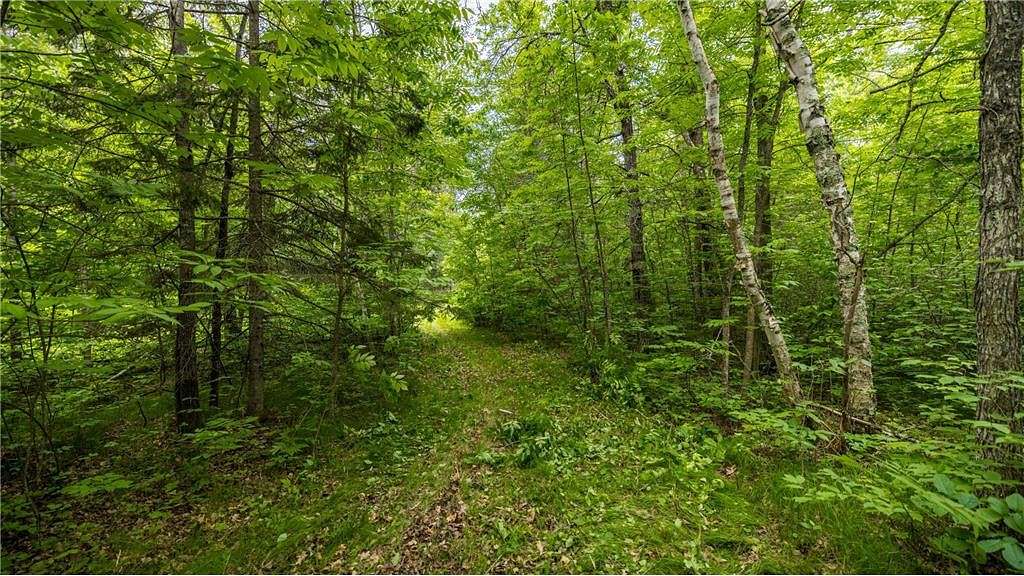 7 Acres of Residential Land for Sale in Park Rapids, Minnesota