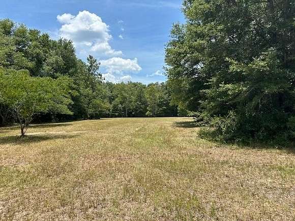 5 Acres of Residential Land for Sale in Branford, Florida