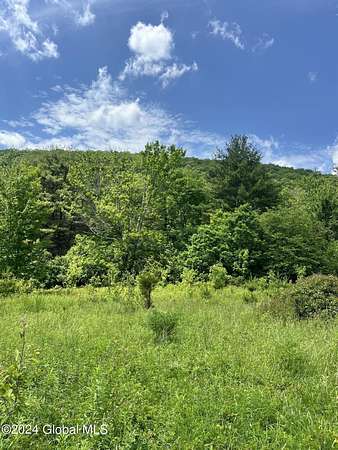 5.1 Acres of Land for Sale in North Blenheim, New York
