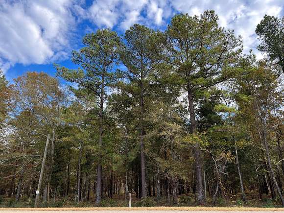 8.78 Acres of Land for Sale in Wagener, South Carolina