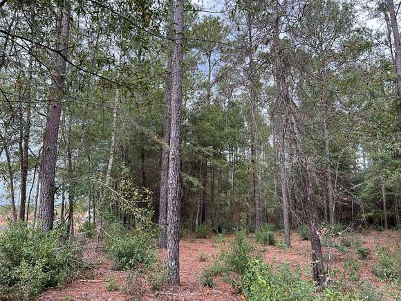 7.39 Acres of Residential Land for Sale in Salley, South Carolina