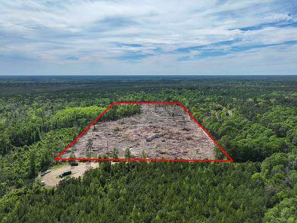 25 Acres of Recreational Land & Farm for Sale in Kirbyville, Texas