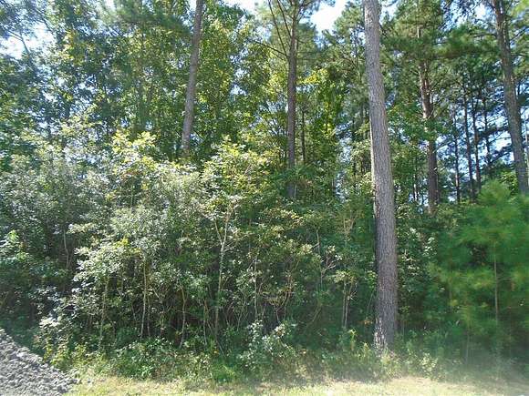 0.76 Acres of Land for Sale in Cross, South Carolina