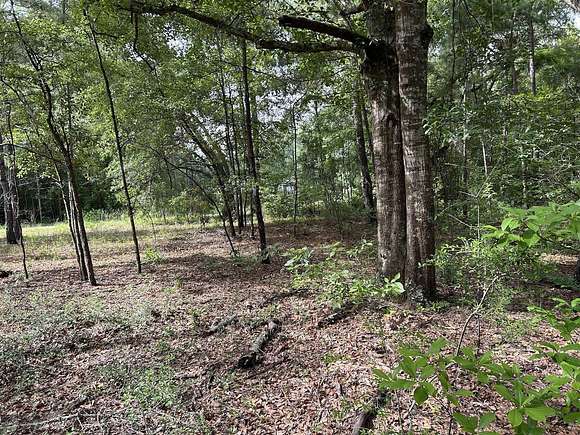 0.94 Acres of Residential Land for Sale in Hollywood, South Carolina