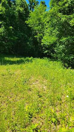 Residential Land for Sale in Hayesville, North Carolina