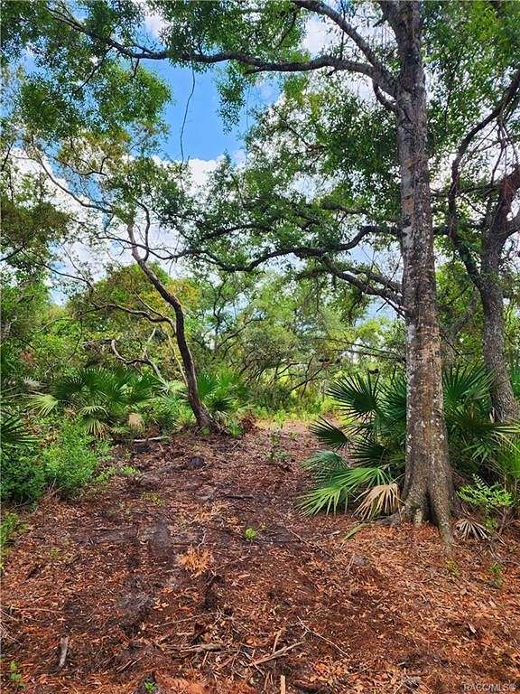 2.08 Acres of Residential Land for Sale in Crystal River, Florida
