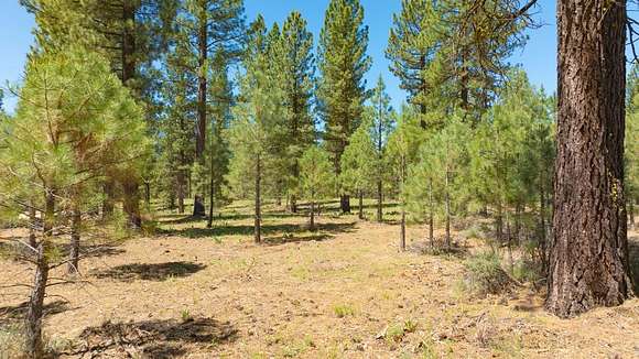 3.5 Acres of Residential Land for Sale in Clio, California
