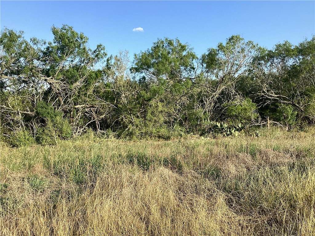 Land for Sale in Realitos, Texas