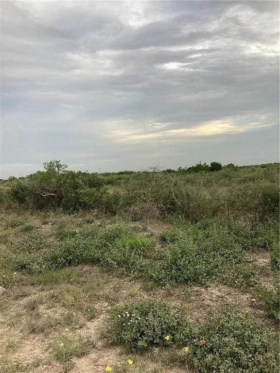 21.2 Acres of Land for Sale in Freer, Texas