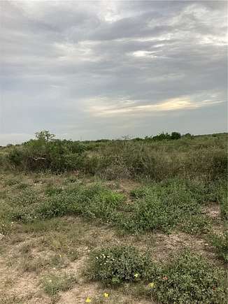 21.16 Acres of Land for Sale in Freer, Texas